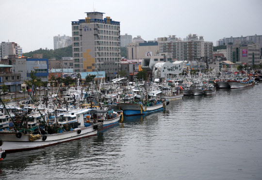 제7호 태풍 쁘라삐룬이 북상하자 2일 경북 포항 동빈내항에 어선이 줄을 지어 대피해 있다. 쁘라삐룬은 태국에서 제출한 비의 신 이름이다.)